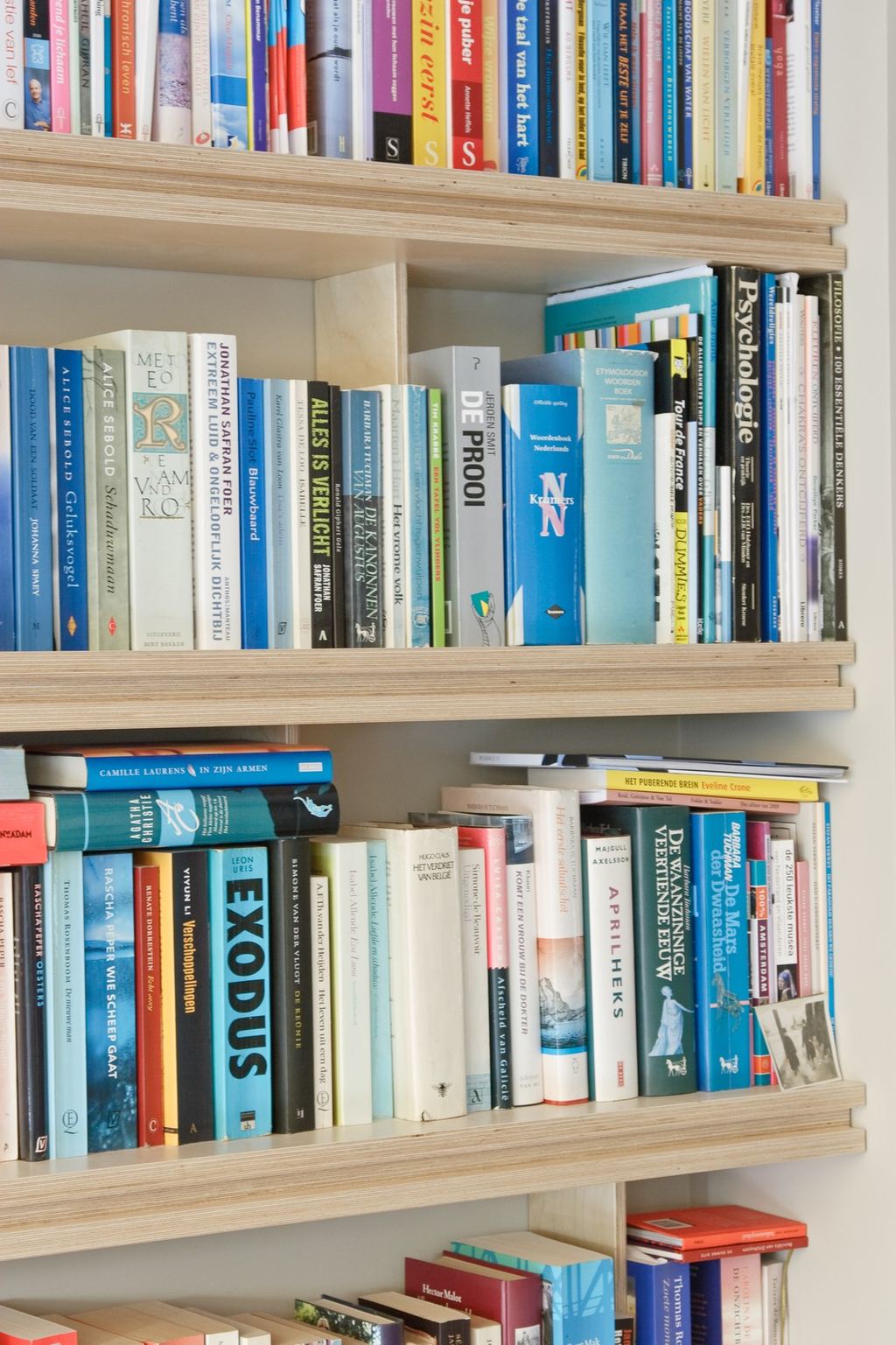 Detail van de volle boekenplanken in de boekenkast.
